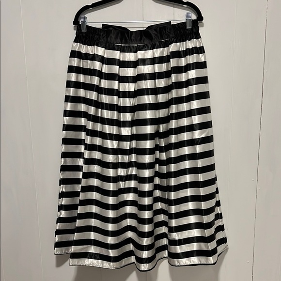 Black and White Striped Skirt - Picture 1 of 7